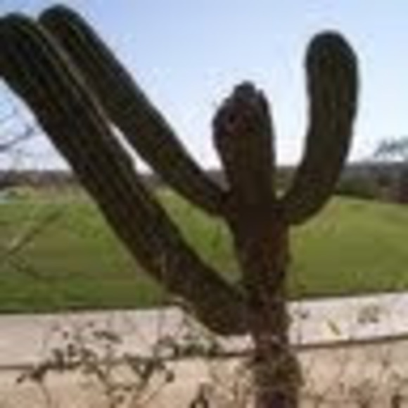 Meet your Posher, Nathan - Picture 1 of 1